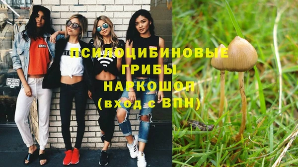 трава Майский