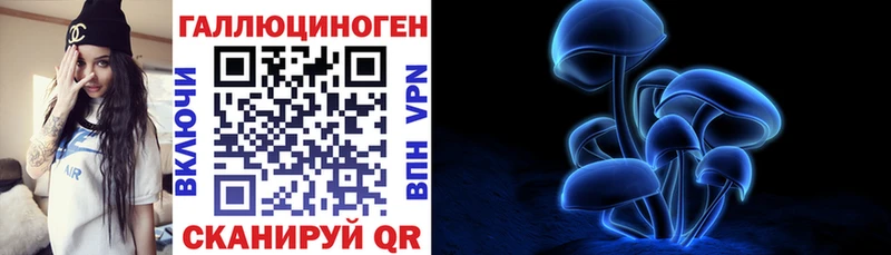 Галлюциногенные грибы Cubensis  закладка  Ясный 